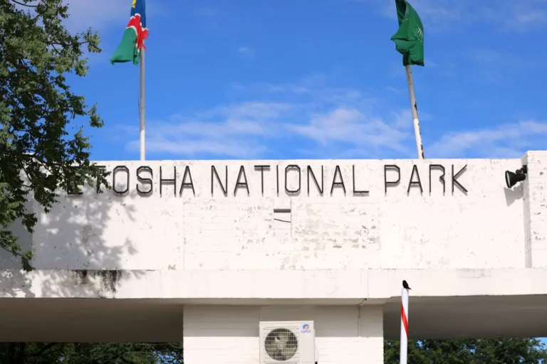 Etosha Nationalpark Eingang Namibia Reisen